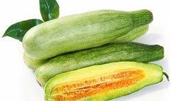 甜瓜概念爆料视频